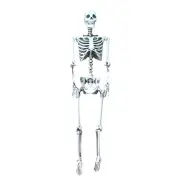 NNEOBA Life Size Halloween Skeleton Decoration