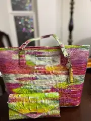 Brahmin Delight medium Asher and Matching Veronica Wallet