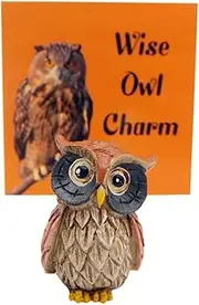 [Westmon Works] Wise Owl Charm Legend Pocket Tiny Trinket Set with Symbol of Wisdom and Protection with Card, One Size, Metal, No Gemstone