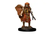 Dungeons & Dragons - Premium Painted Figures Human Druid Male