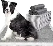 Dog Pee Pads,Charcoal Super Absorbency Puppy Pads, Activated Carbon Odor-Control L 24"x24" Leak-Proof Pet Training Pee Pads, Disposable Potty Pads for Dogs Cats, Rabbits(40PCS)