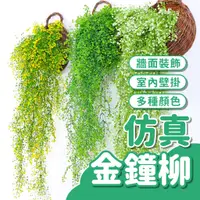 在飛比找蝦皮購物優惠-【多種顏色】仿真金鐘柳 綠色植物 仿真植物 壁掛 牆面裝飾 