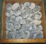 1- Natural Celestite Geode Cluster Quartz Crystal Healing MADAGASCAR w/STAND