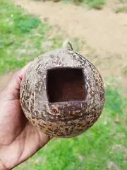 Hanging Hummingbird Birds House Hand-made Coconut Shell Bird Houses Garden Nest