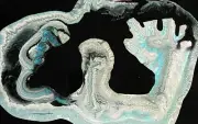 Tonito Original painting.HANDYMAN.Organic surrealism.Otherworldly unique art