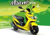 在飛比找Yahoo!奇摩拍賣優惠-鋒麗110 VP110 50 125 外殼 車殼 烤漆殼 8