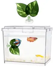Mini Betta Fish Tank, Small Fish Bowl for Temporary Space, 0.2 Gallon Stackab...