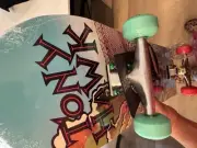 Tony Hawk Skateboard Signature Edition 31”