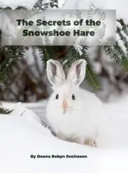 The Secrets of the Snowshoe Hare by Deena Robyn Sveinsson Hardcover Book