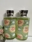 2 New CUCUMBER MELON BATH & BODY WORKS SHOWER GEL BODY WASH