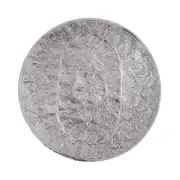 SSH COLLECTION Nirav 76cm Wide Leafy Vine Wall Art - Polished Aluminium