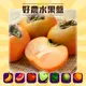 雙11限定【喜樂拉拉山】拉拉山甜柿6入/盒 (共2盒組)_好農水果盤