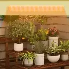 Plant Growing Lamp USB Plant Grow LED Light Full Spectrum Lamp for Indoor Plants