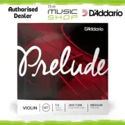 D'Addario Prelude Violin String Set - 1/2 Scale, Medium Tension - J810 1/2M