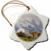 3dRose Guanaco wildlife, Torres Del Paine NP, Chile - SA05 HGA0014 - Howie Garbe