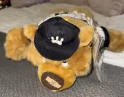 VTG Sandlot Cubs Teddy Bear Slider McBruin 6838 / 15000 Ragged Shirt Stolen Base