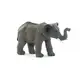 《MOJO FUN動物模型》動物星球頻道獨家授權－迷你大象