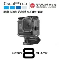 在飛比找樂天市場購物網優惠-【eYe攝影】現貨 忠欣公司貨 GOPRO HERO 8 防