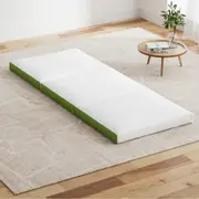 3-Fold Giselle Foldable Mattress Single Green Folding Foam Trifold