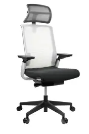 Office Desk Chair High Mesh Back with Arms and Head Rest Match White