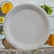 25 Pack |10" inch Round Disposable Paper Plates| Paper Plates Made by Sugarcane Base| Heavy Duty, Microwave Safe| Cut Resistant Disposable Plates for Everyday Use, 25 Count