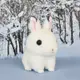 現貨【守夜鴞商行】日本正版 AMUFUN DX 白色 小白兔 兔子 兔兔 鑰匙圈(球鏈) 玩偶 吊飾 娃娃  Amuse