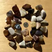1.5 Lb Lot of Tumbled Stones Crystals and Minerals Mixed Polished Natural Rocks