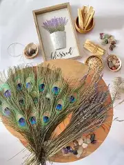 USA Natural PEACOCK FEATHERS, 10" - 12" Big Eye Natural Peacock Tail, Iridescent