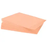 EVA Foam Sheets Light Pink 10.8 x 8.5 Inch 1.7mm Thick Crafts Foam Sheets 20Pcs