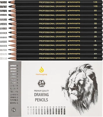 Sketch Pencils Set for Drawing, 14 Pack Graphite, for Art, Pencil Kit for Sketch