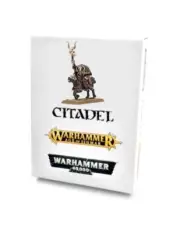 Warhammer: The Old World - Warriors of Chaos - Sorcerer of Chaos on Chaos Steed