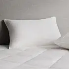 Deluxe Feather & Down Pillow