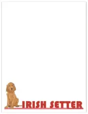 Irish Setter Printable Stationery, Writing Paper, 8.5" x 11" 25 Sheets and 25 En