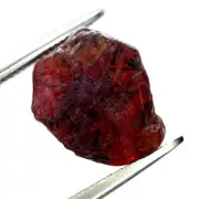 Certified 6.00ct Natural Untreated Red Color Ruby Unheated Rough 12.4x10.3 mm