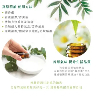 【長庚生技】真原薄荷單方精油10ml 清涼宜人 紓解疲憊 沮喪