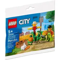 在飛比找蝦皮購物優惠-LEGO 樂高 30590 農夫 稻草人