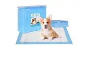 200PCS Pet Training Pads 60x60cm Puppy Dog Cat Toilet Indoor Super Absorbent