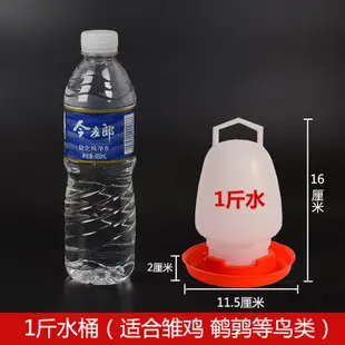 喂雞的食糟神器小雞喝水的自動飲水器長方形料槽飼料桶養雞雞槽