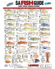 Sa Fish Id Card - Vinyl