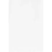 12" X 15" - 2 Mil White Flat Poly Bags (1000 Per/Case)