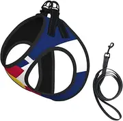 Colorado flag print Dog Harness and Leash Set, Reflective Adjustable Puppy Vest for Small Medium Large Dogs, Cats