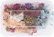 4 Boxes Dried Flowers, Dry Plants Herbs Kit for Aromatherapy Candle, Pressed Flowers Dry Leaves Kits for DIY Jewelry Molds, Art Crafts Scrapbooking Scrapbook Supplies(#1)