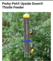 Perky-Pet Finch 2 lb Plastic Upside Down Goldfinch Bird Feeder 6 ports