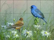 Bunting Tile Backsplash Mike Brown Bird Art Ceramic Mural MBA023