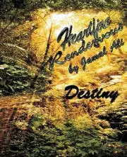 Heartfire Rendezvous: Destiny by Jamal Ali (English) Paperback Book