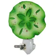 Sand Dollar Night Light with Cut Out Metal Front and Glass Back, Green