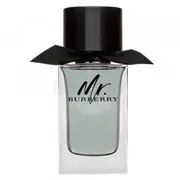Burberry Mr. Burberry Eau De Toilette Men 100 ml