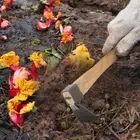 Manual Gardening Garden Hand Tool Vegetable Farming Tool Weeding Hoe