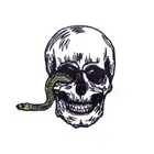 Skull with Snake Sew On Iron-On Patch Embroidered Badge Patches For Clothes DIY