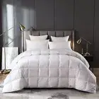 Lightweigt Goose Down Comforter Blanket Duvet Insert for Summer/Warm Weather,...